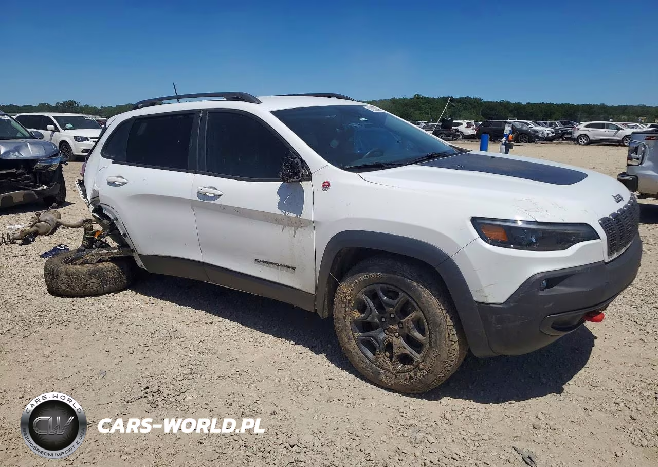 2021 Jeep Cherokee Trailhawk VIN:1C4PJMBX8MD118633 - 4