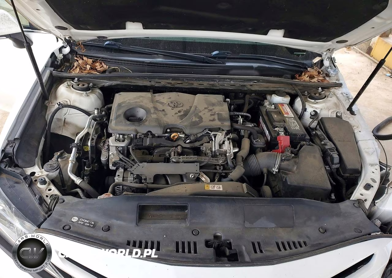 2019 Toyota Camry Se VIN:4T1B11HK1KU821200 - 11