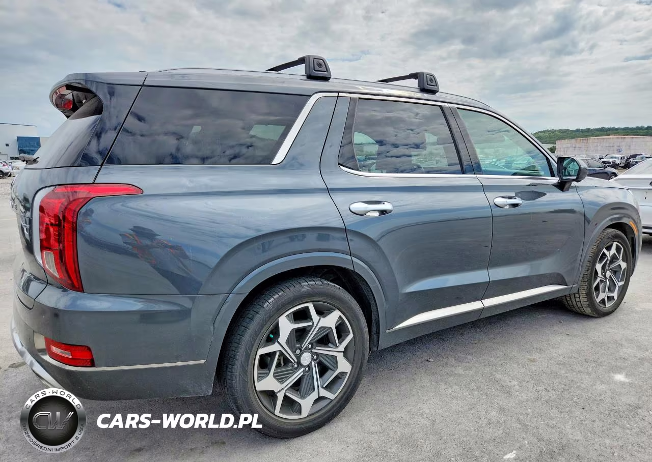 2022 Hyundai Palisade Calligraphy VIN:KM8R7DHE3NU362748 - 3