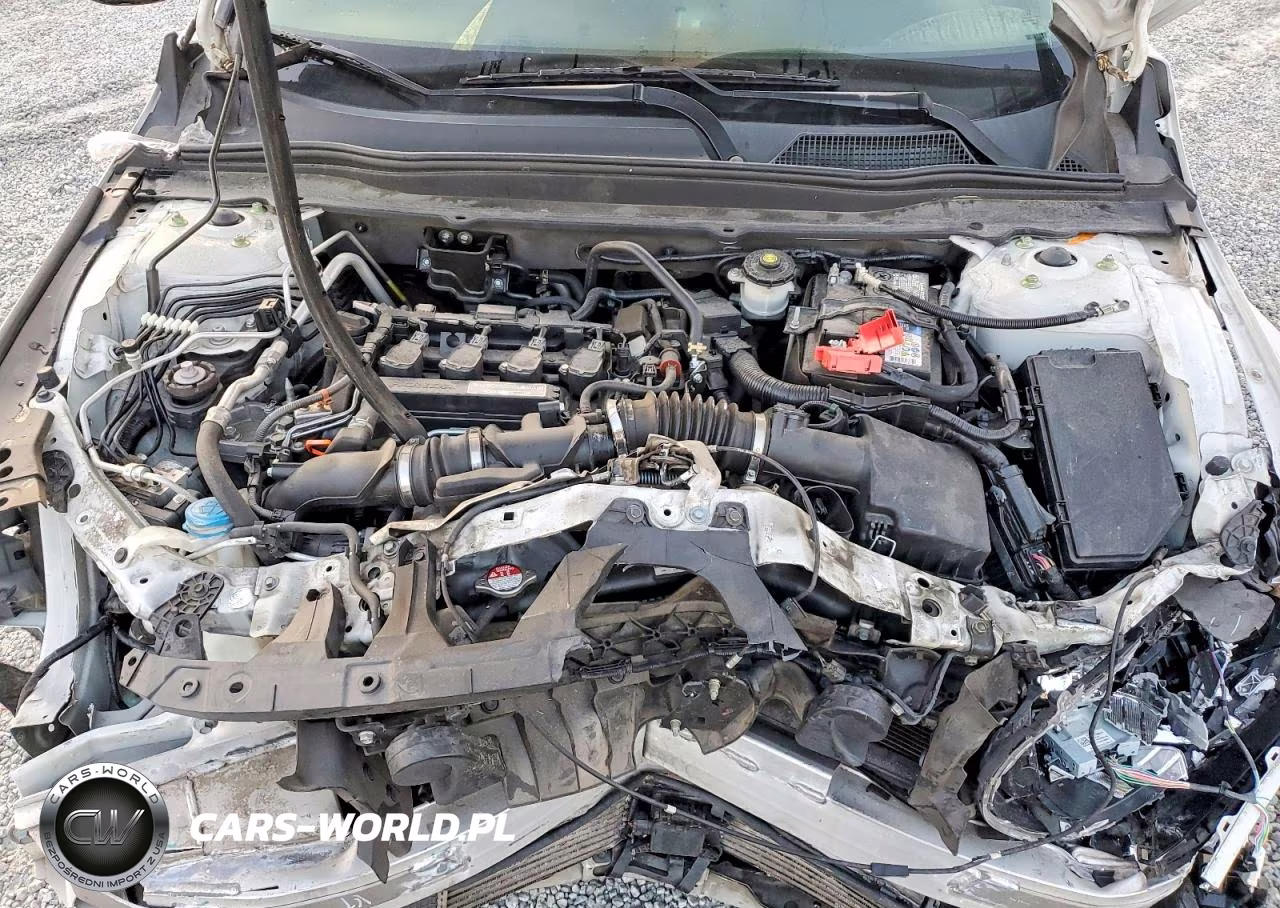 HONDA ACCORD LX VIN:1HGCV1F13JA167597 - 11