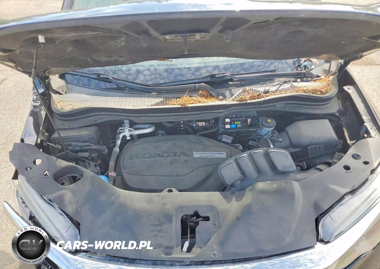 2019 Honda Pilot Exl VIN:5FNYF6H55KB064947 - 12