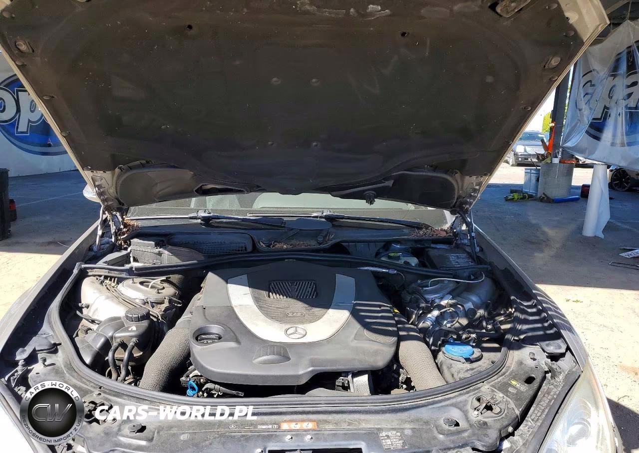 2007 Mercedes-Benz S 550 VIN:WDDNG71X77A077089 - 11