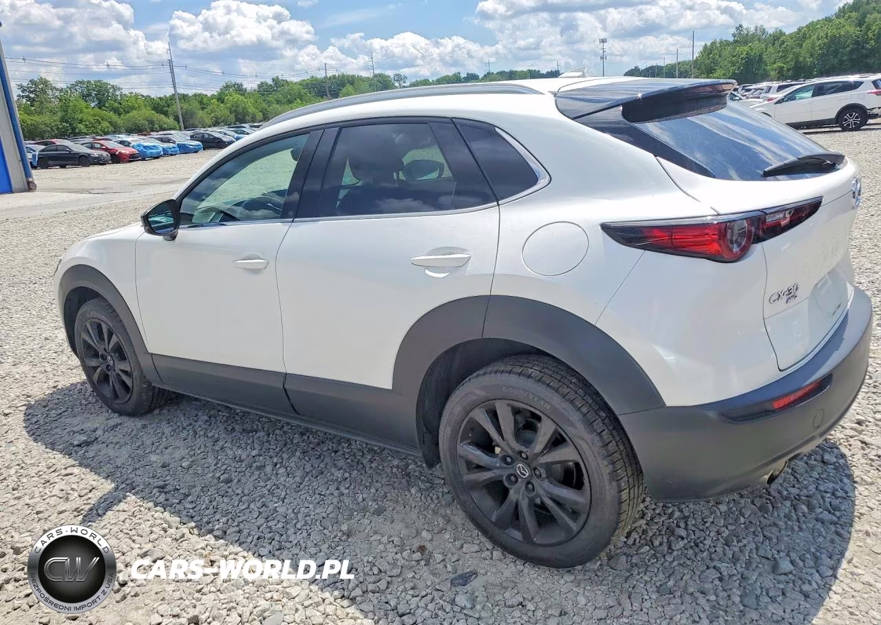 2022 Mazda Cx-30 Premium VIN:3MVDMBDY3NM438855 - 2