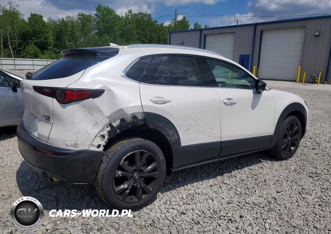 2022 Mazda Cx-30 Premium VIN:3MVDMBDY3NM438855 - 3