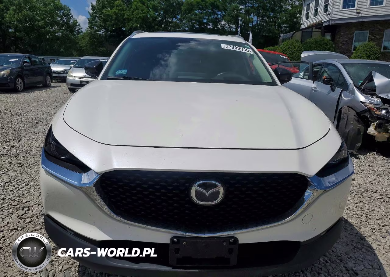 2022 Mazda Cx-30 Premium VIN:3MVDMBDY3NM438855 - 5