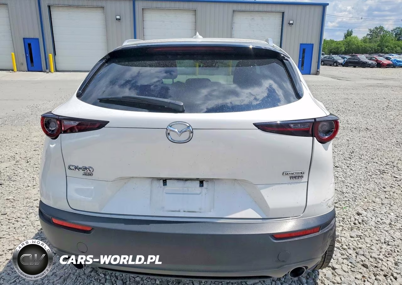 2022 Mazda Cx-30 Premium VIN:3MVDMBDY3NM438855 - 6