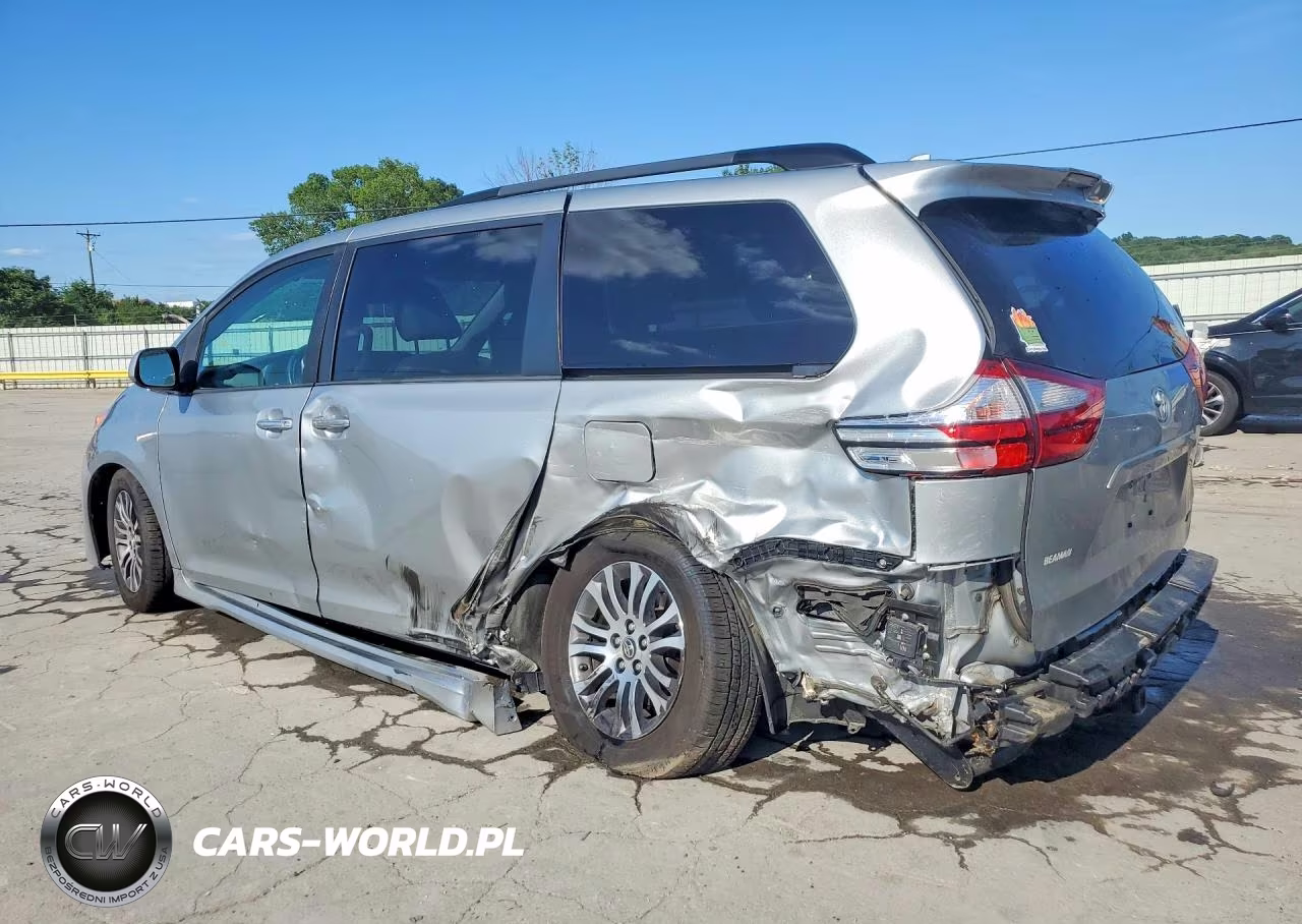 2019 Toyota Sienna Xle Premium 8-Passenger VIN:5TDYZ3DCXKS004491 - 2