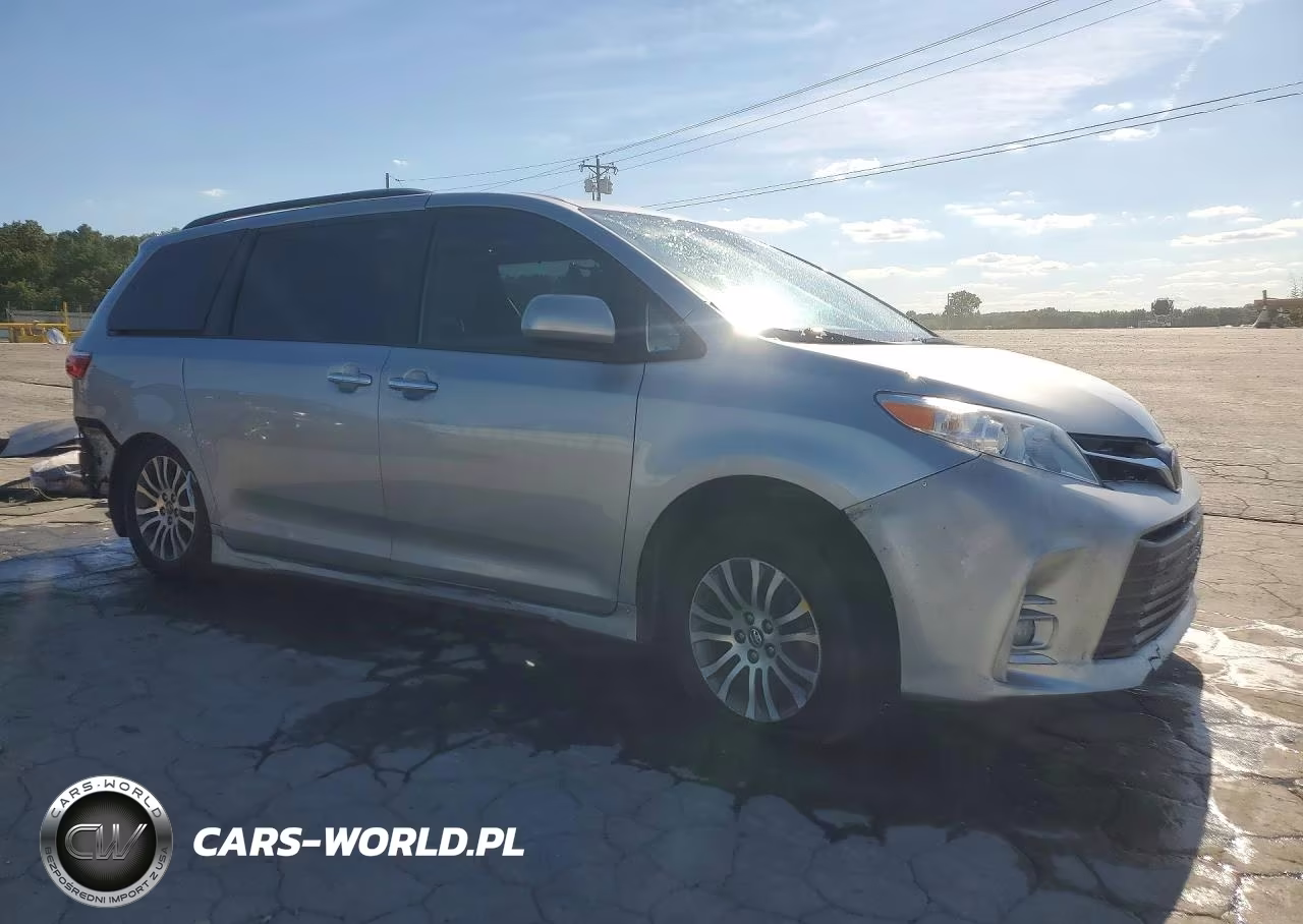2019 Toyota Sienna Xle Premium 8-Passenger VIN:5TDYZ3DCXKS004491 - 4