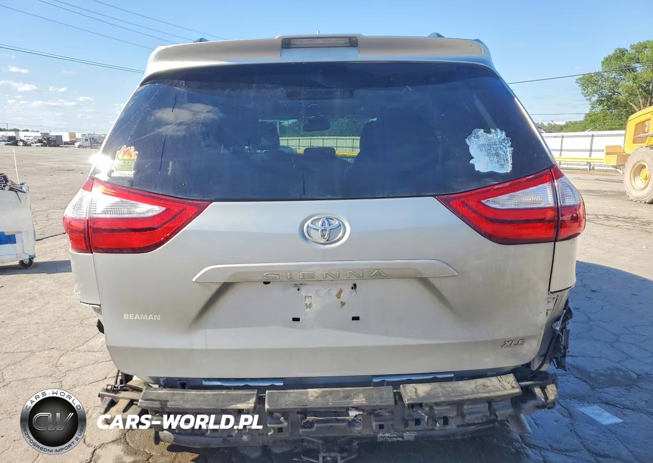2019 Toyota Sienna Xle Premium 8-Passenger VIN:5TDYZ3DCXKS004491 - 6