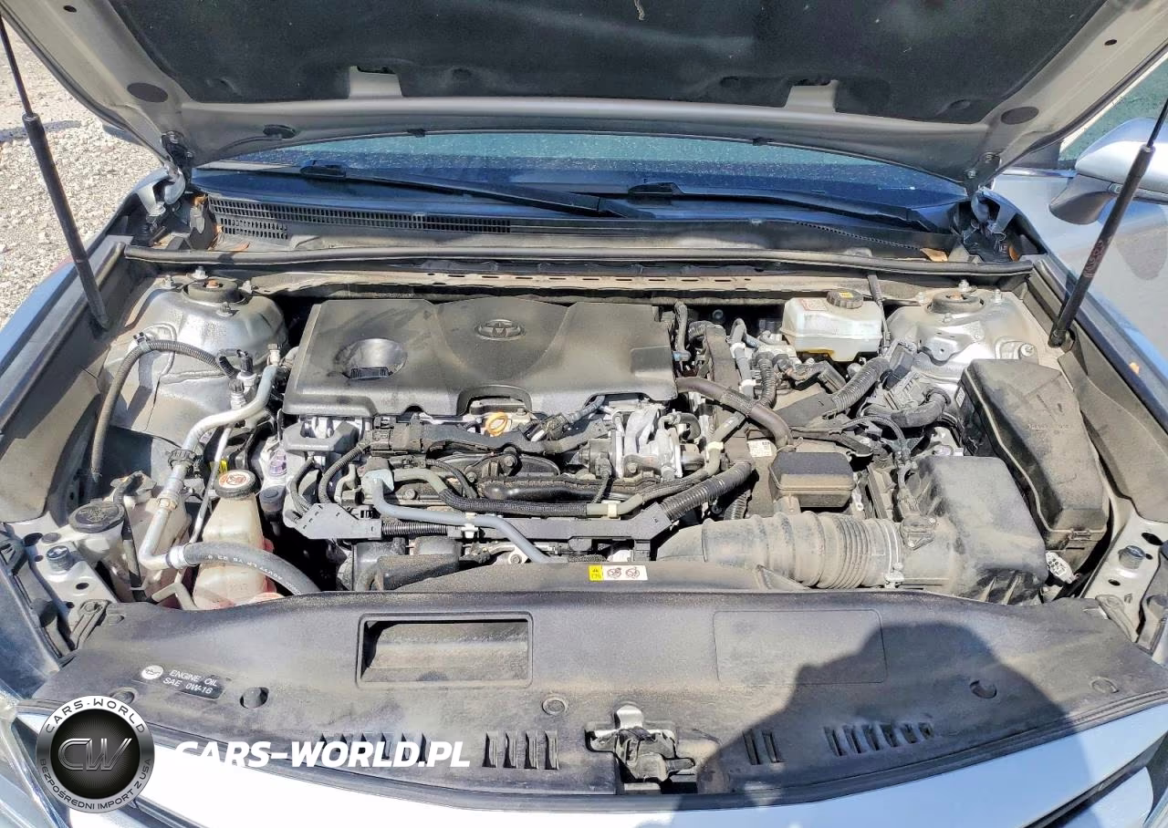2019 Toyota Camry Le VIN:4T1B31HK0KU515020 - 11