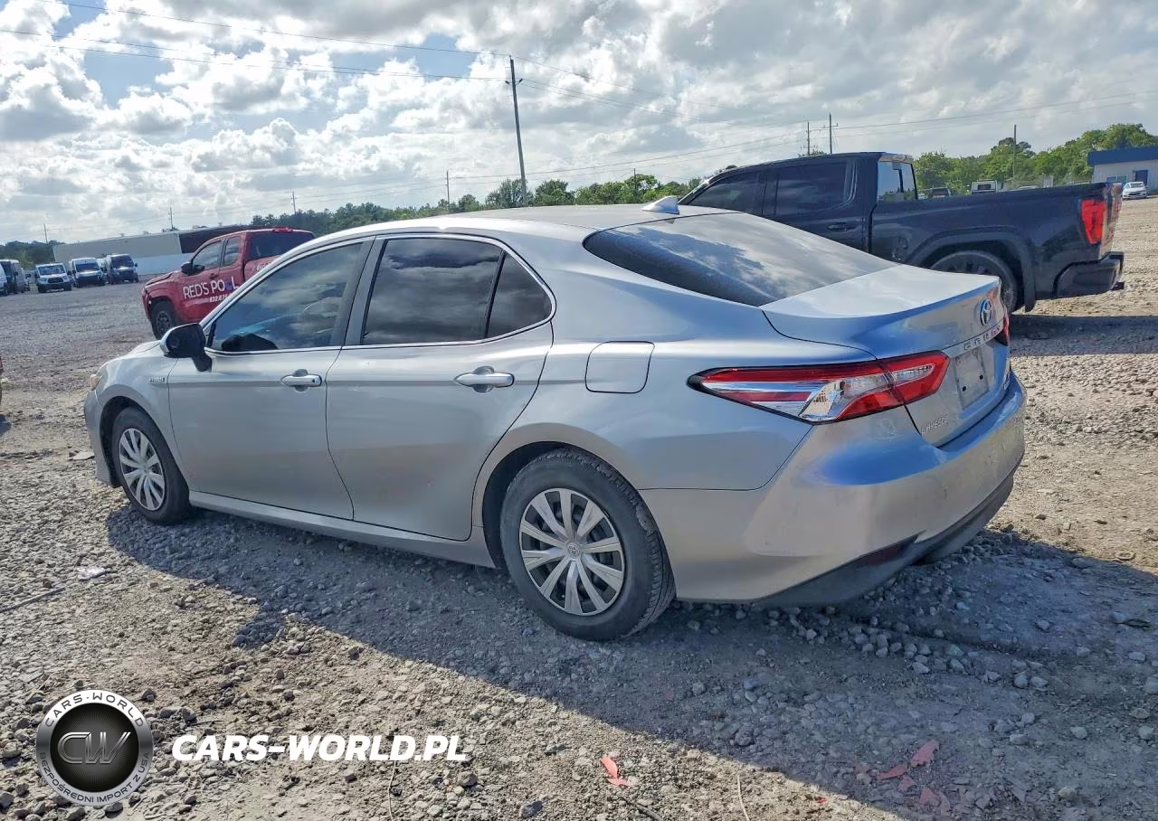 2019 Toyota Camry Le VIN:4T1B31HK0KU515020 - 2