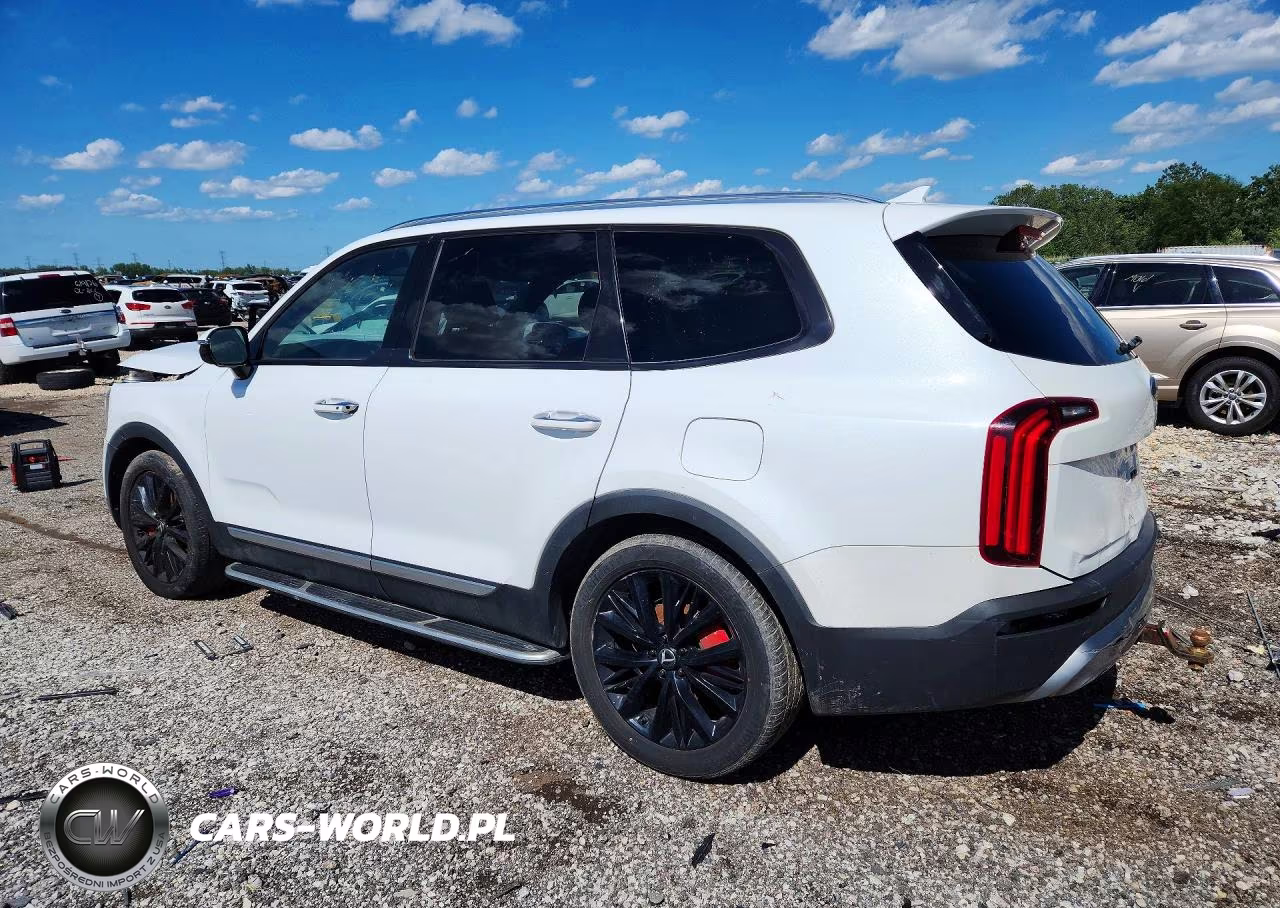 2020 Kia Telluride Sx VIN:5XYP5DHC6LG086032 - 2