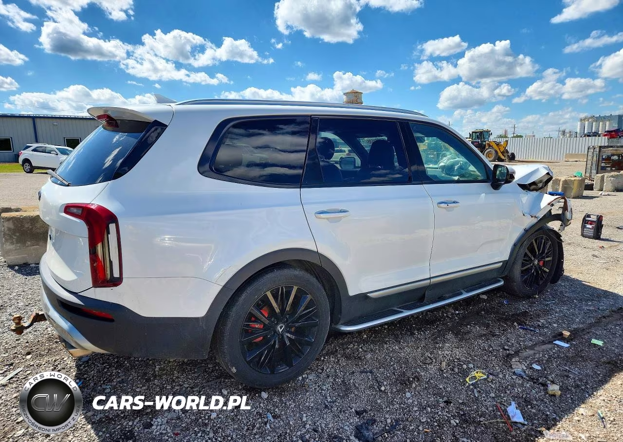 2020 Kia Telluride Sx VIN:5XYP5DHC6LG086032 - 3