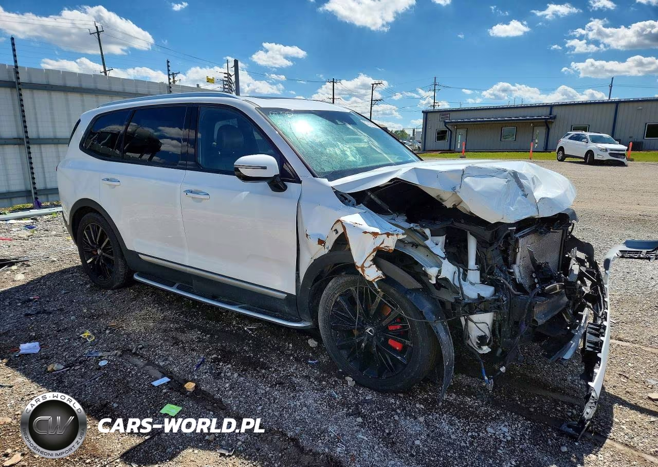 2020 Kia Telluride Sx VIN:5XYP5DHC6LG086032 - 4