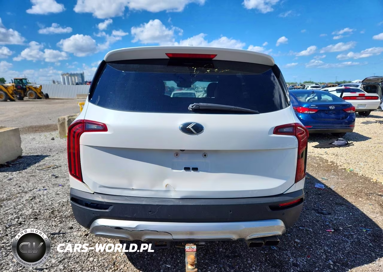2020 Kia Telluride Sx VIN:5XYP5DHC6LG086032 - 6