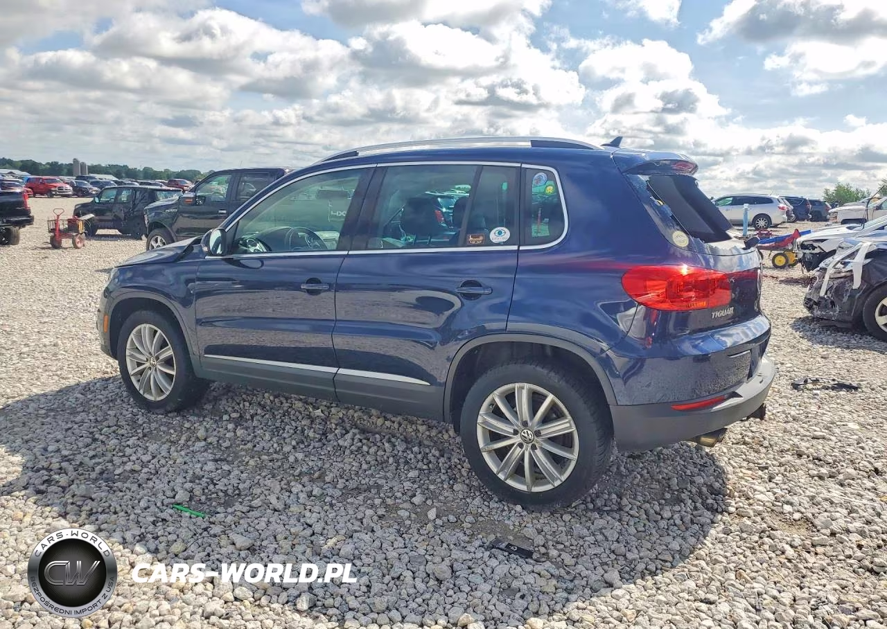 2013 Volkswagen Tiguan S VIN:WVGBV3AXXDW611370 - 2