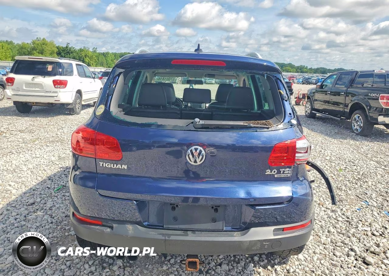2013 Volkswagen Tiguan S VIN:WVGBV3AXXDW611370 - 6