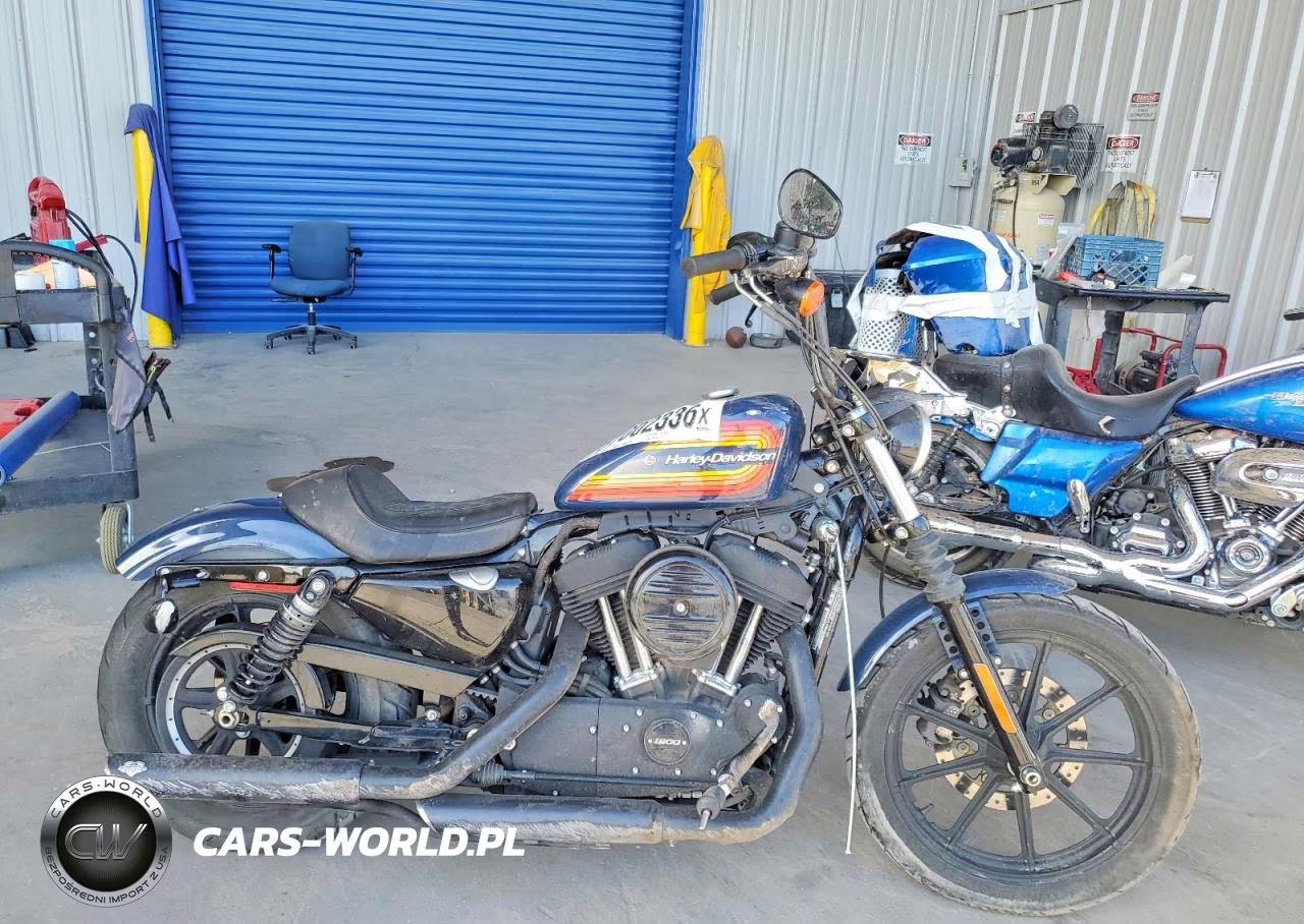 2020 Harley-Davidson Xl1200 Ns