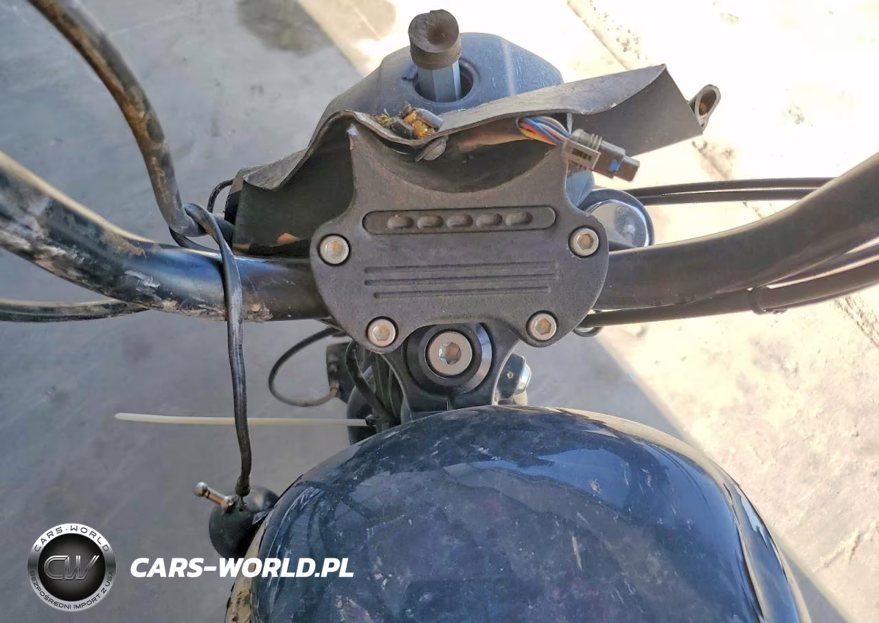 2020 Harley-Davidson Xl1200 Ns VIN:1HD1LP316LB409703 - 7