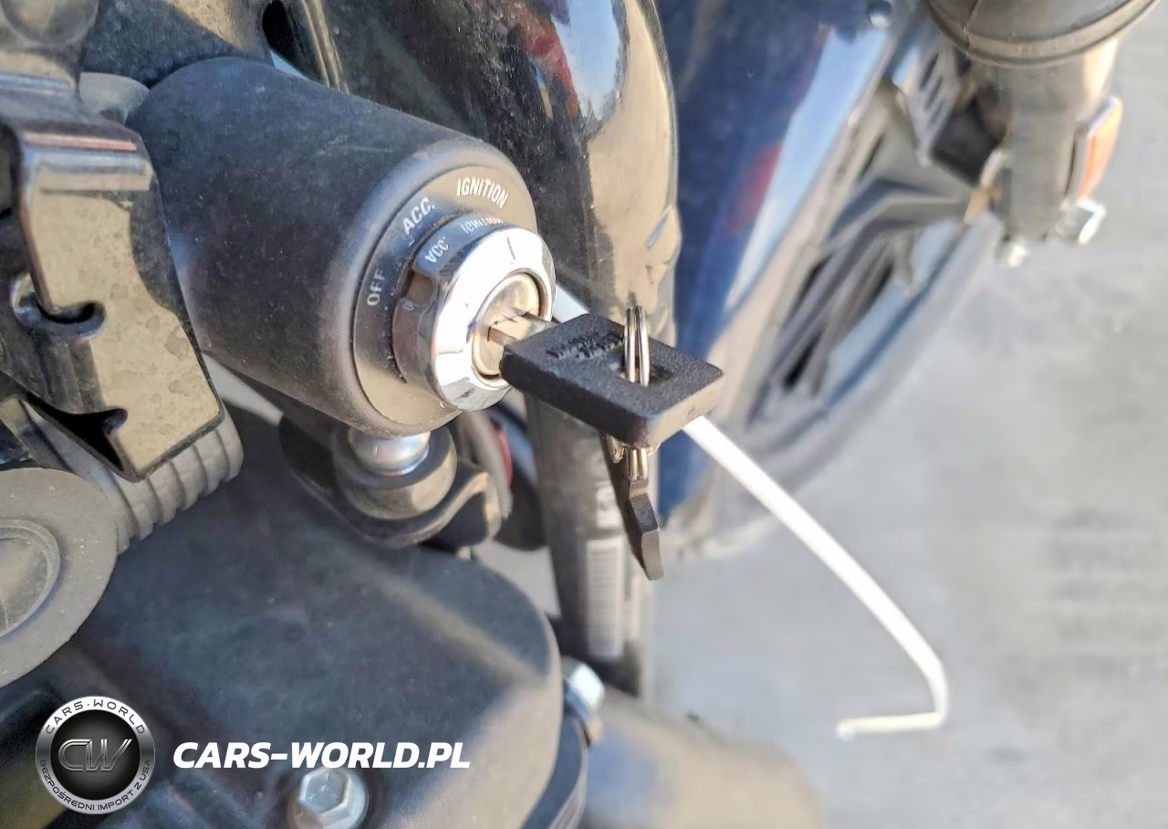 2020 Harley-Davidson Xl1200 Ns VIN:1HD1LP316LB409703 - 8