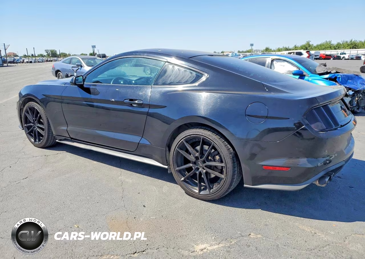 2018 Ford Mustang VIN:1FA6P8TH2J5123606 - 2