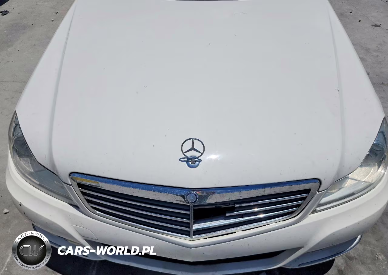 2013 Mercedes-Benz C 250 VIN:WDDGF4HB4DA783145 - 11