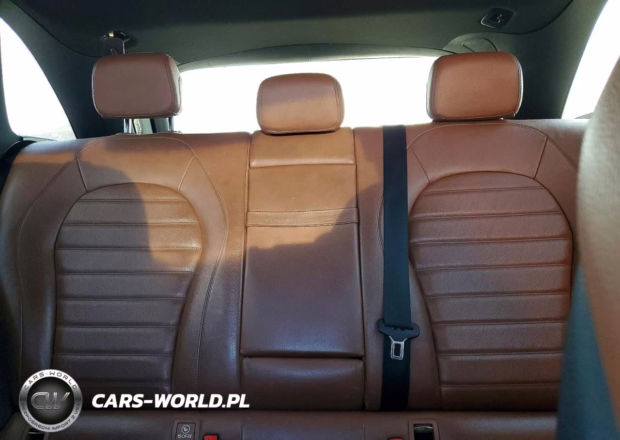 2017 Mercedes-Benz Glc 300 VIN:WDC0G4JB4HF197289 - 10