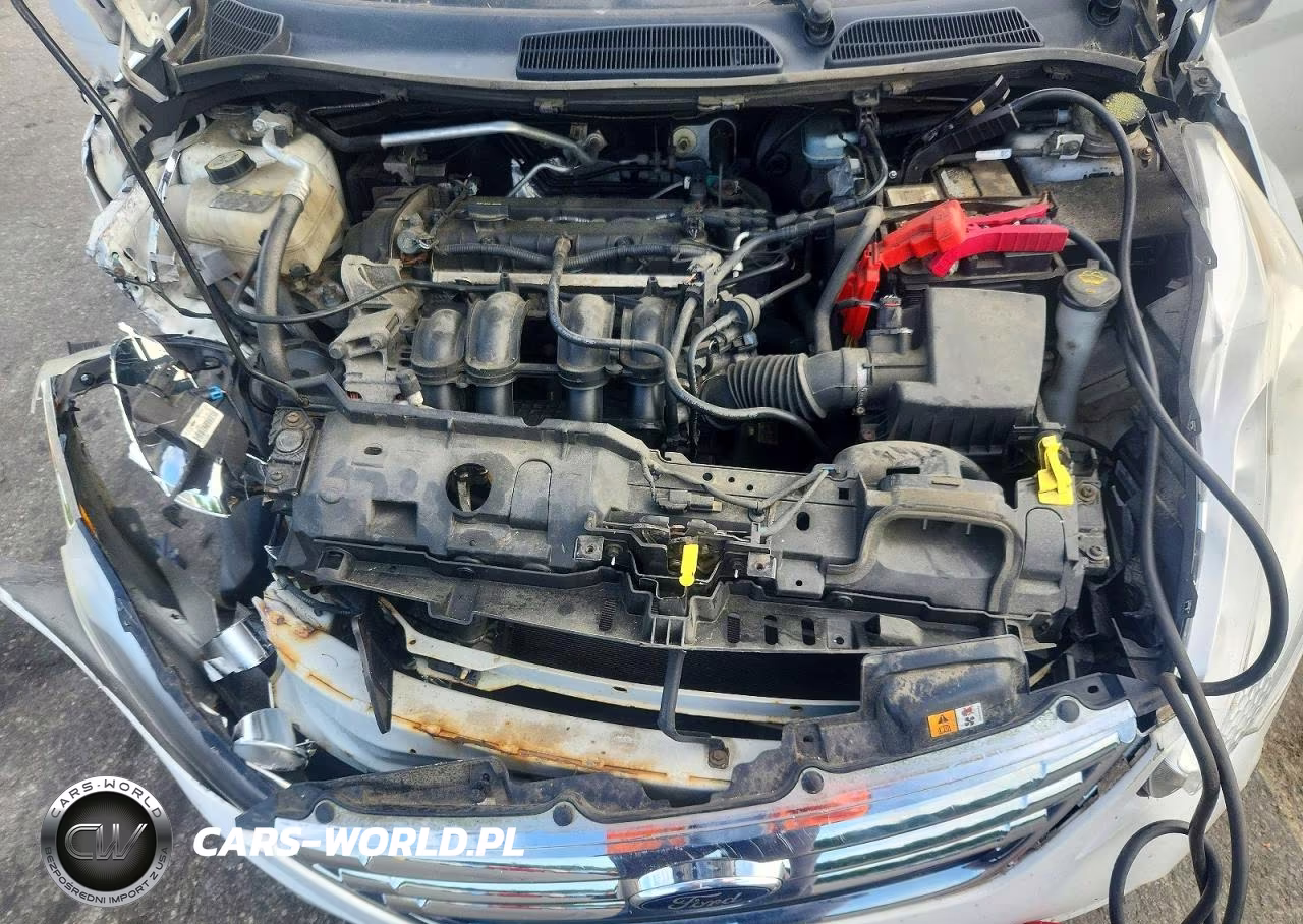 2013 Ford Fiesta Se VIN:3FADP4BJ8DM202765 - 11