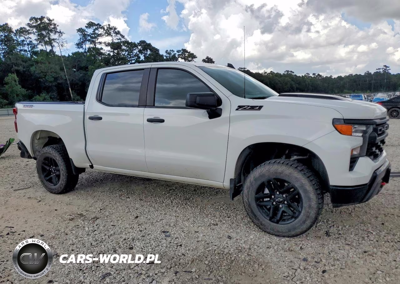 2024 Chevrolet Silverado K1500 Trail Boss Custom VIN:3GCUDCED8RG171123 - 4