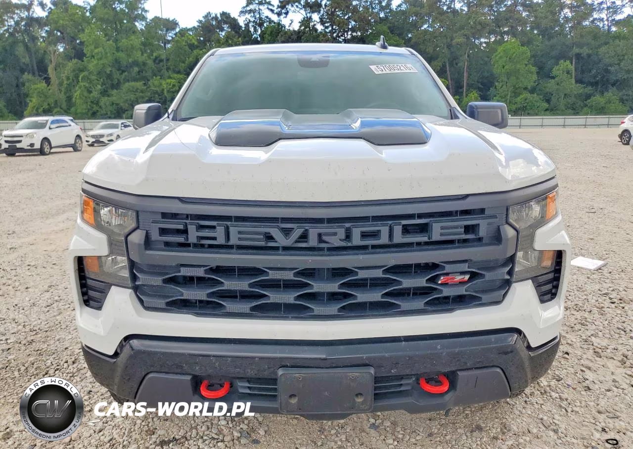 2024 Chevrolet Silverado K1500 Trail Boss Custom VIN:3GCUDCED8RG171123 - 5