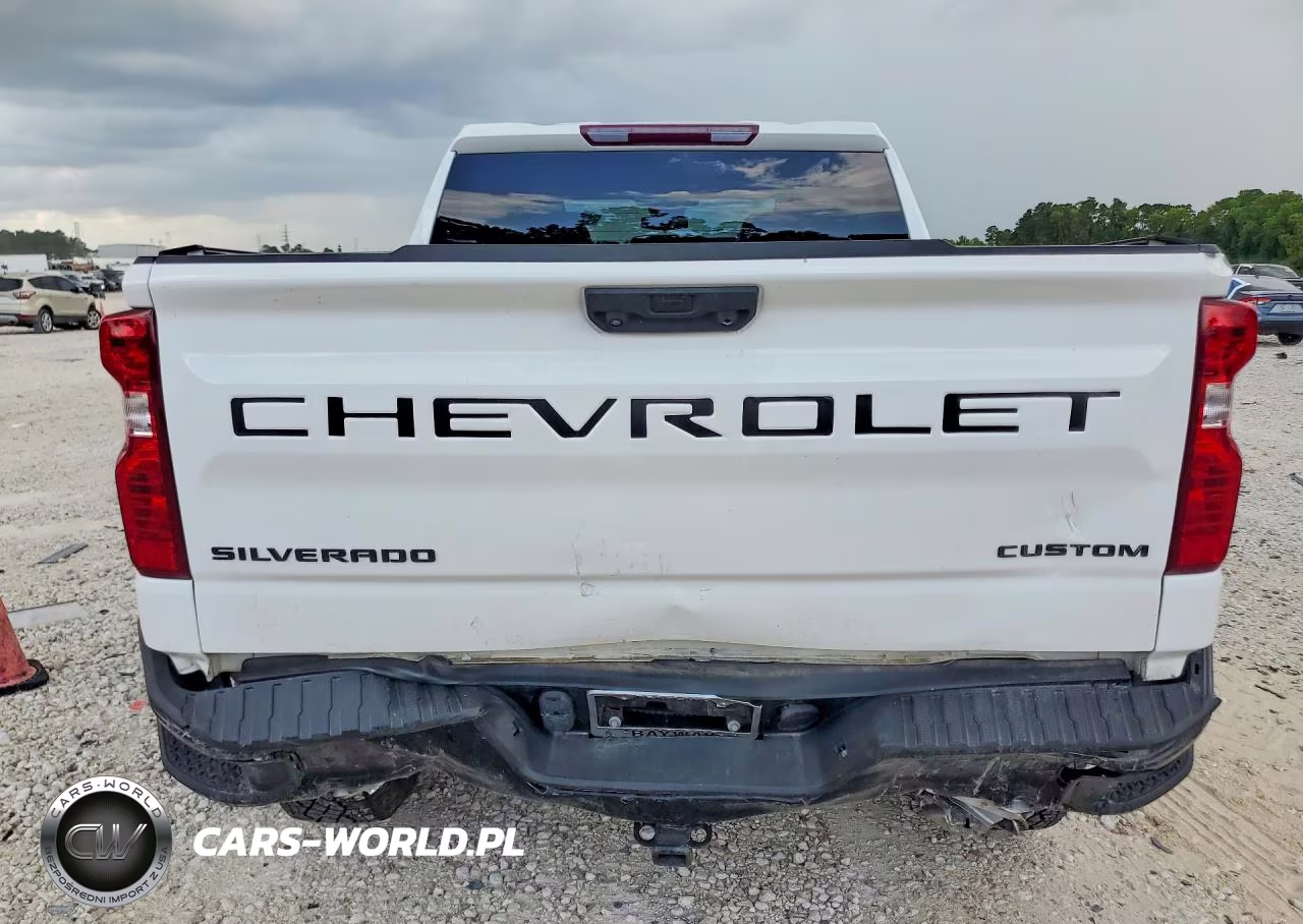 2024 Chevrolet Silverado K1500 Trail Boss Custom VIN:3GCUDCED8RG171123 - 6