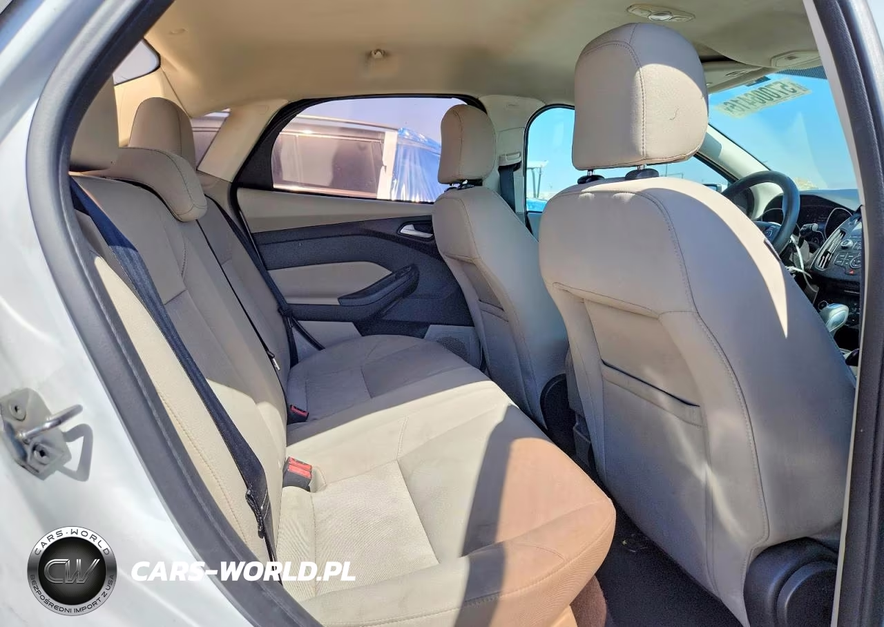2015 Ford Focus Se VIN:1FADP3F2XFL317353 - 10