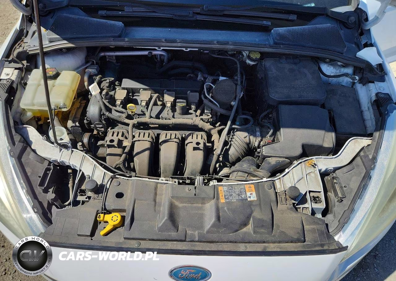 2015 Ford Focus Se VIN:1FADP3F2XFL317353 - 11