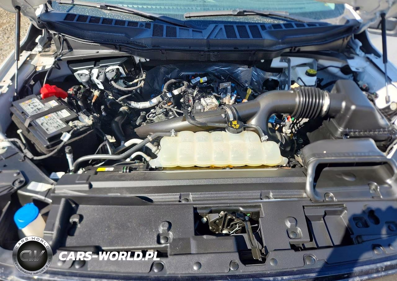 2025 Ford F150 Xlt VIN:1FTEW3KPXSKD72453 - 11