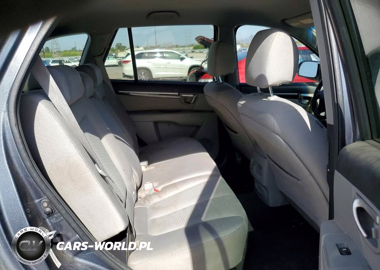 2009 Hyundai Santa Fe Gls VIN:5NMSG13D59H246595 - 10