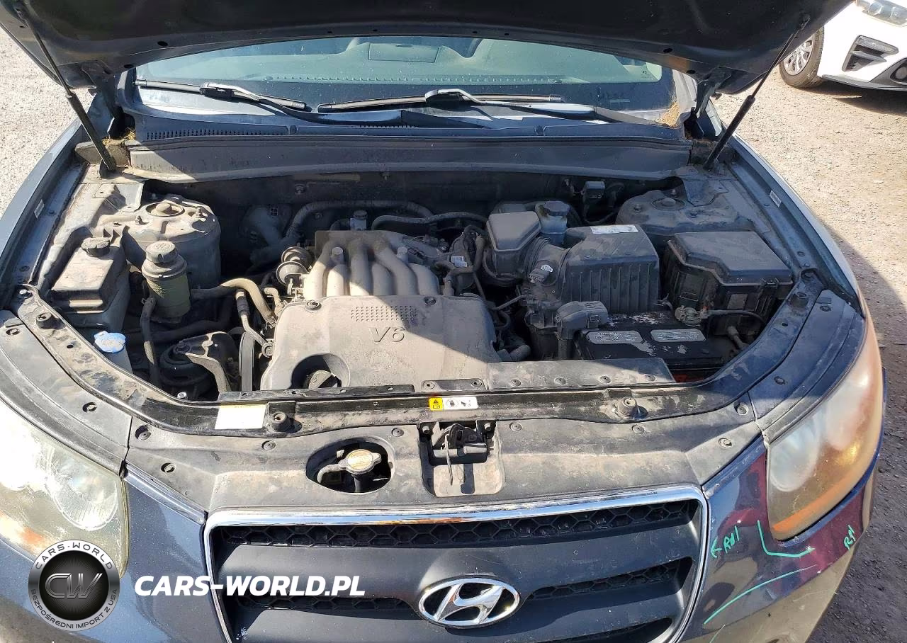 2009 Hyundai Santa Fe Gls VIN:5NMSG13D59H246595 - 11