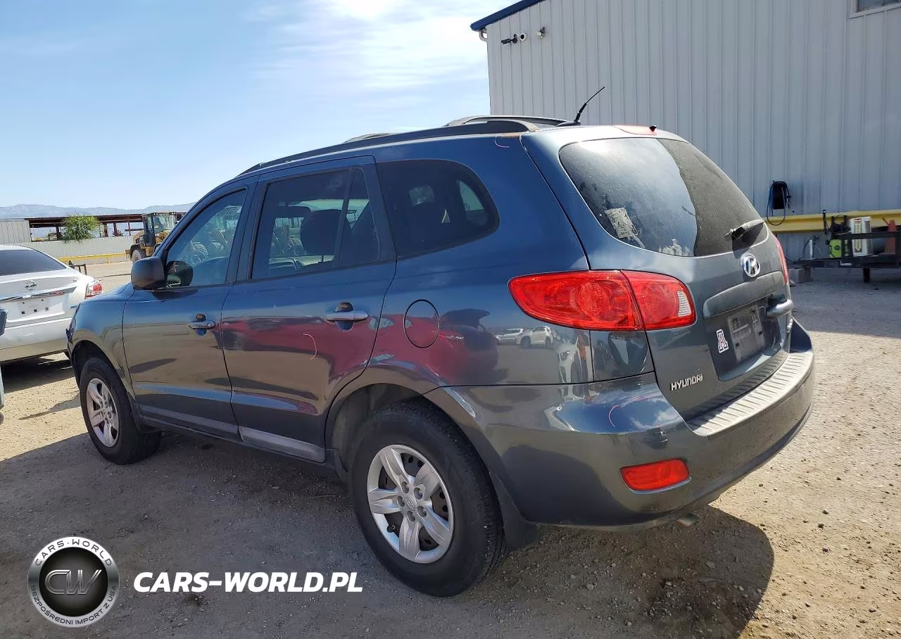 2009 Hyundai Santa Fe Gls VIN:5NMSG13D59H246595 - 2