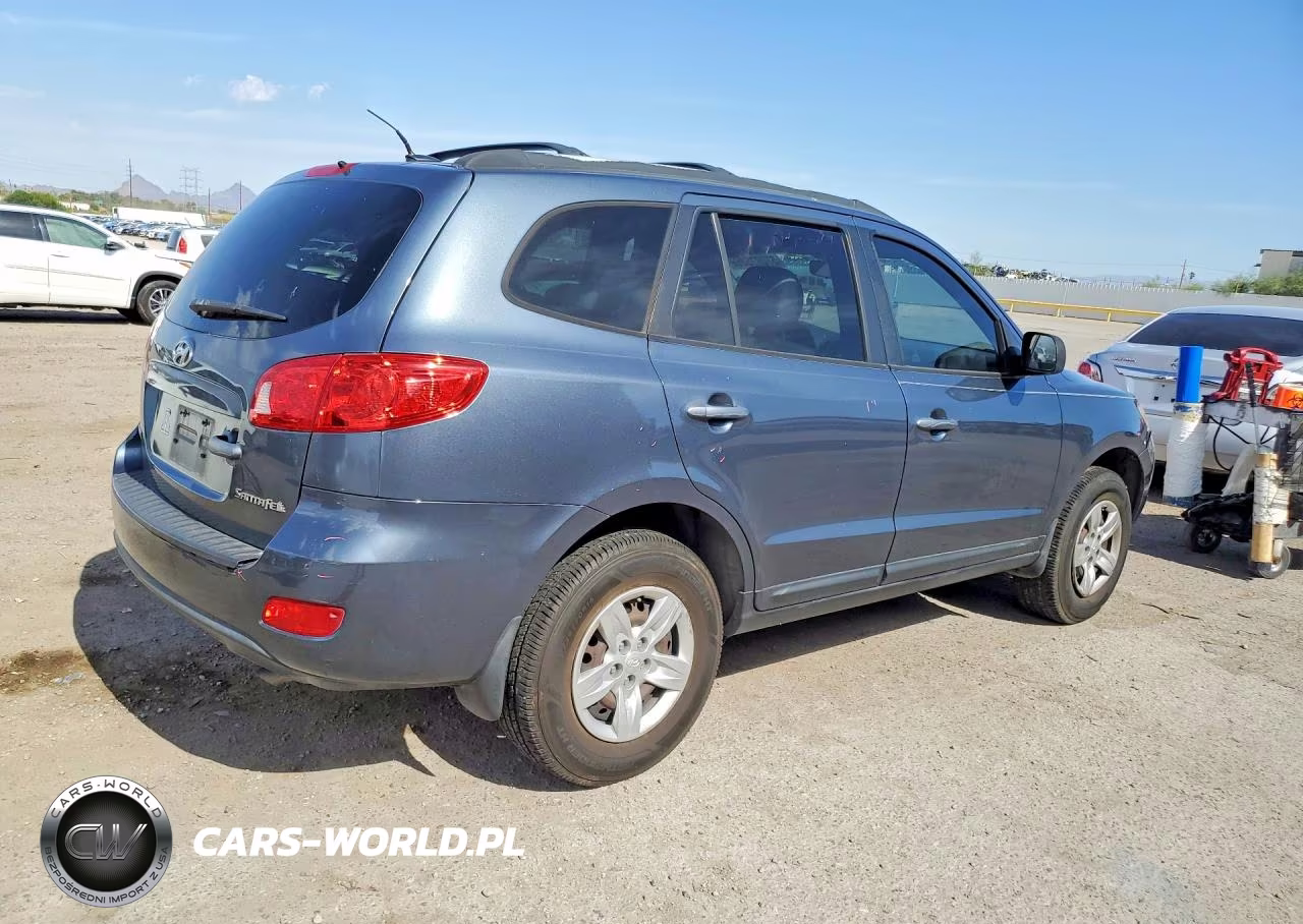 2009 Hyundai Santa Fe Gls VIN:5NMSG13D59H246595 - 3