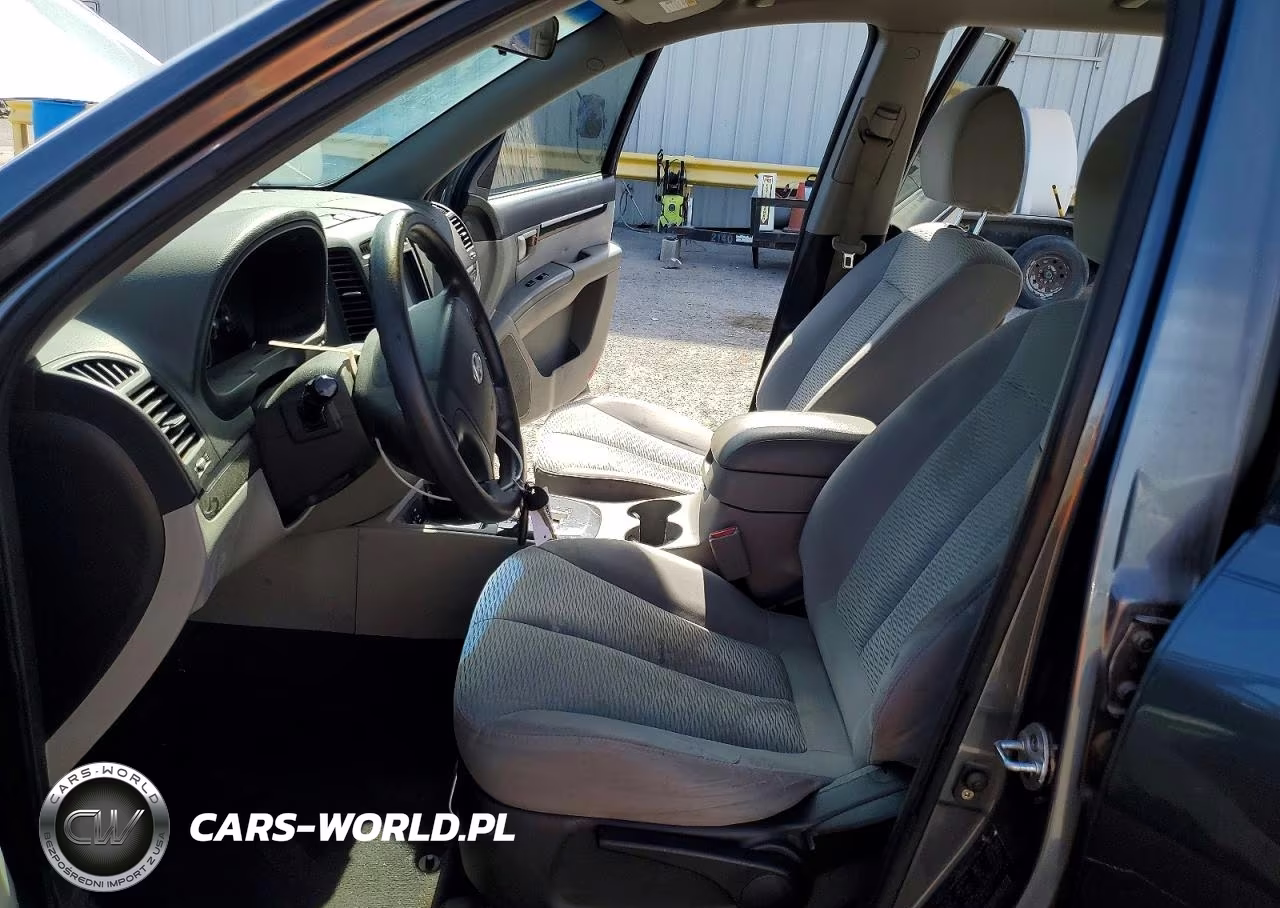 2009 Hyundai Santa Fe Gls VIN:5NMSG13D59H246595 - 7