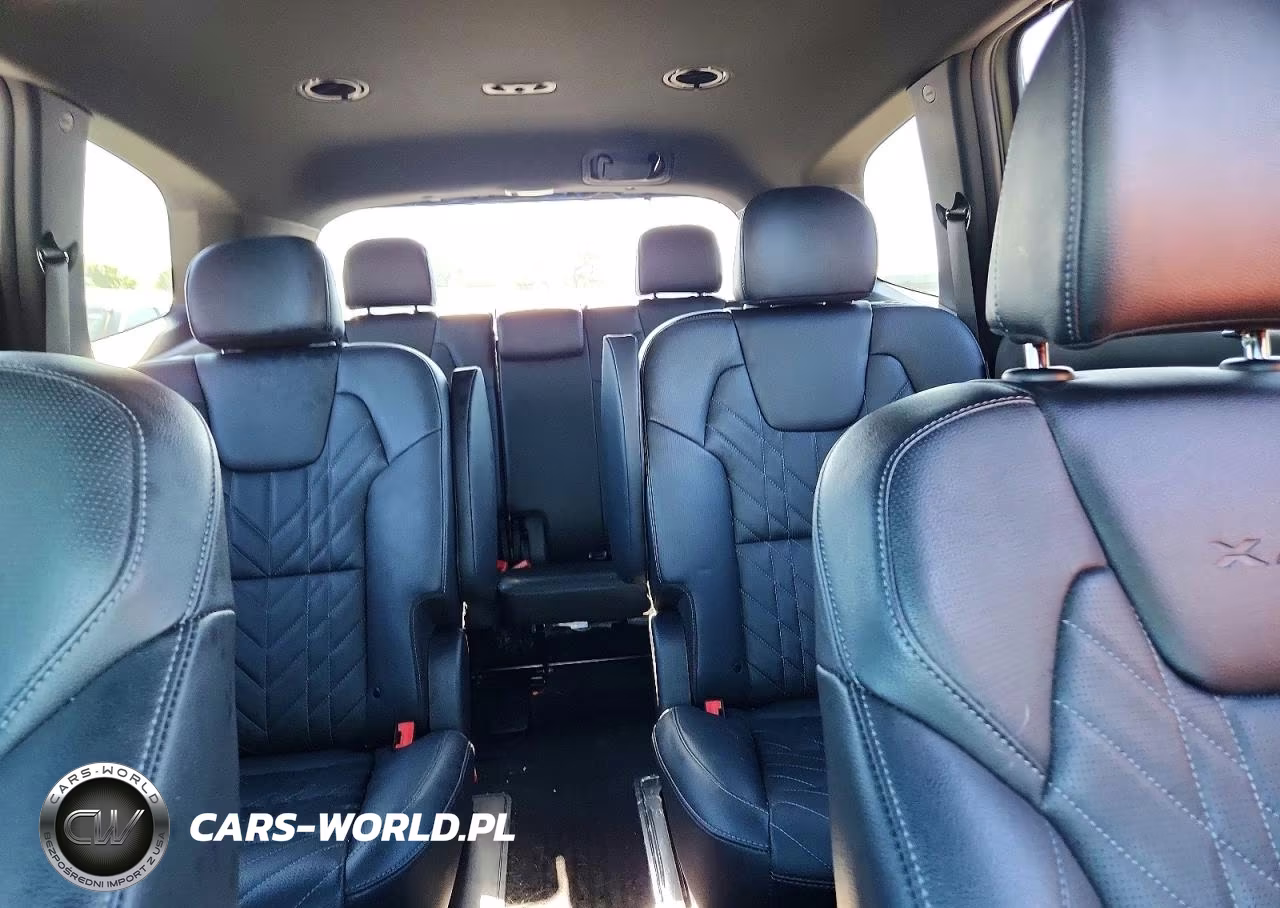 2025 Kia Telluride Ex X-Line VIN:5XYP3DGC5SG604850 - 10