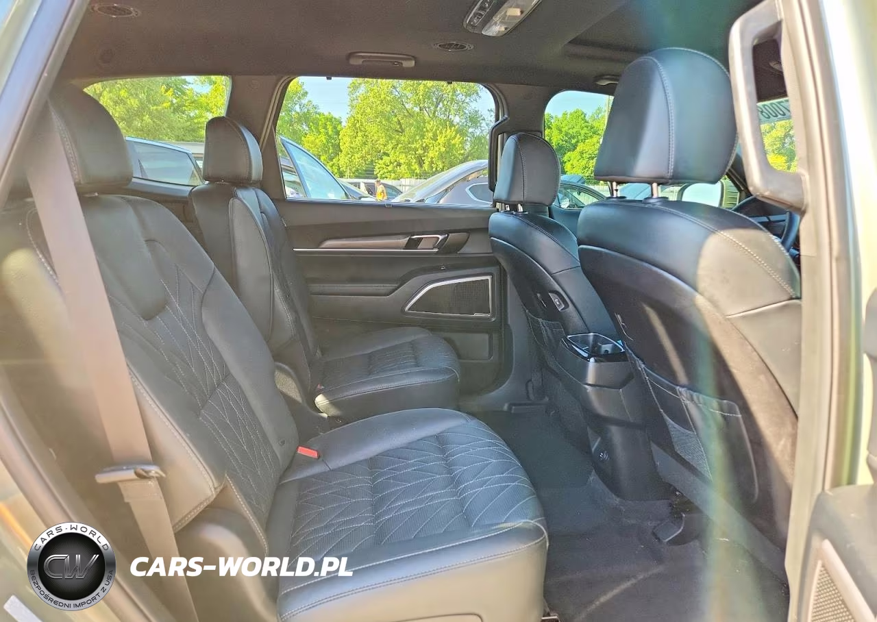 2025 Kia Telluride Ex X-Line VIN:5XYP3DGC5SG604850 - 11