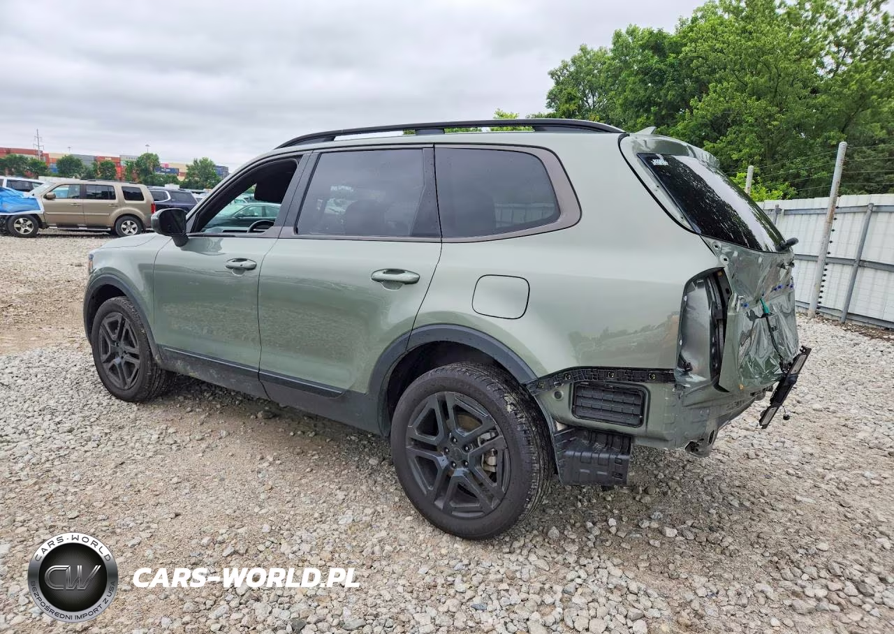 2025 Kia Telluride Ex X-Line VIN:5XYP3DGC5SG604850 - 2