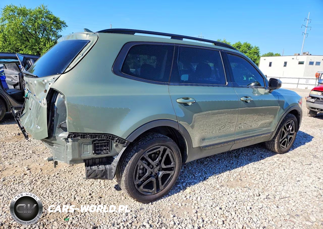2025 Kia Telluride Ex X-Line VIN:5XYP3DGC5SG604850 - 3