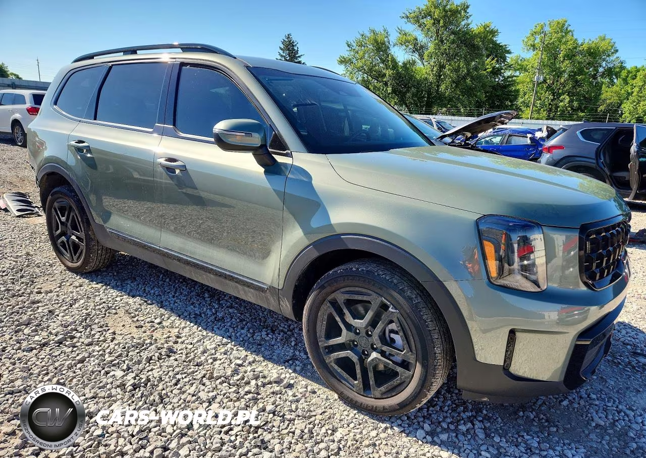 2025 Kia Telluride Ex X-Line VIN:5XYP3DGC5SG604850 - 4