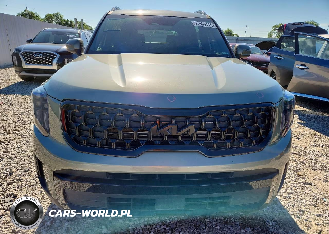 2025 Kia Telluride Ex X-Line VIN:5XYP3DGC5SG604850 - 5