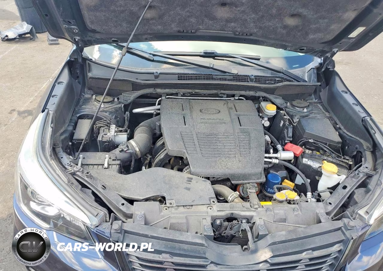 2019 Subaru B9 Tribeca Limited W VIN:JF2SKAPC0KH482323 - 12