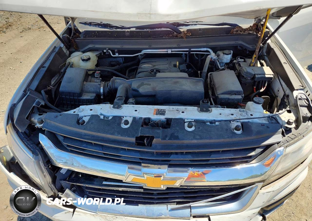 2019 Chevrolet Colorado VIN:1GCHSBEA2K1167323 - 11