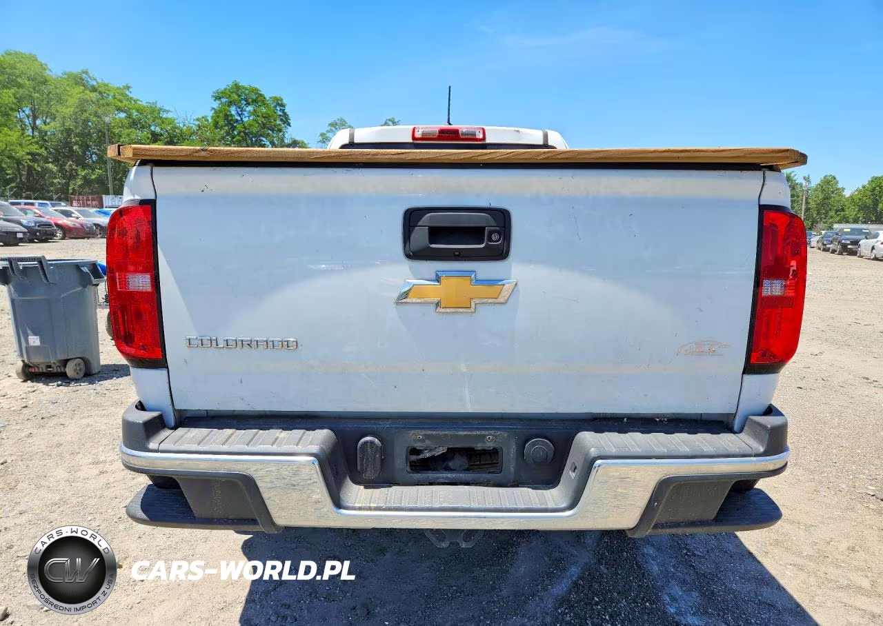 2019 Chevrolet Colorado VIN:1GCHSBEA2K1167323 - 6