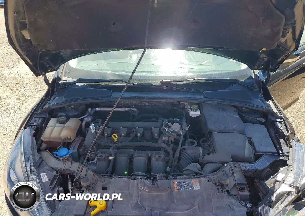 2018 Ford Focus Sel VIN:1FADP3H24JL259889 - 11