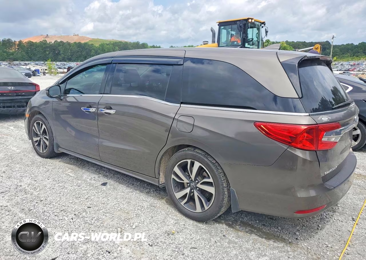 2019 Honda Odyssey Elite VIN:5FNRL6H92KB111464 - 2